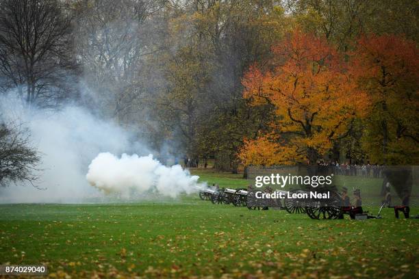 Members of the King's Troop Royal Horse Artillary take part in a 41-gun salute to mark the 69th birthday of the Prince of Wales at Green Park on...