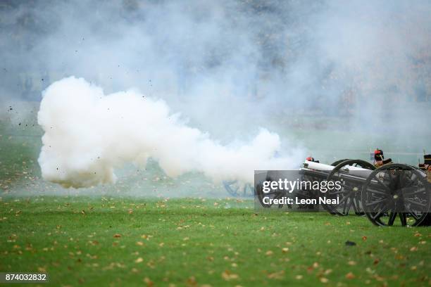 Members of the King's Troop Royal Horse Artillary take part in a 41-gun salute to mark the 69th birthday of the Prince of Wales at Green Park on...