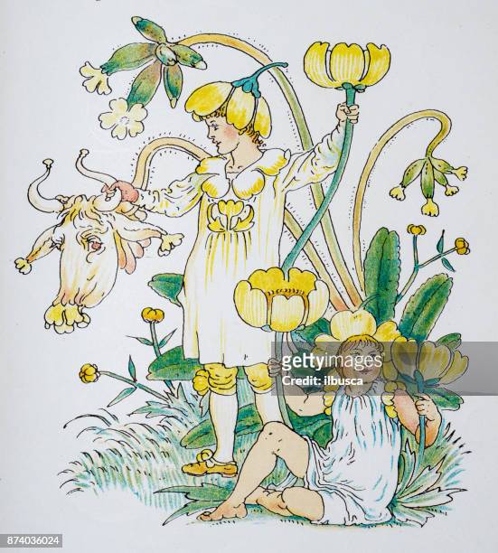 antike darstellung von humanisierten blumen und pflanzen: butterblumen und schlüsselblumen - buttercup stock-grafiken, -clipart, -cartoons und -symbole