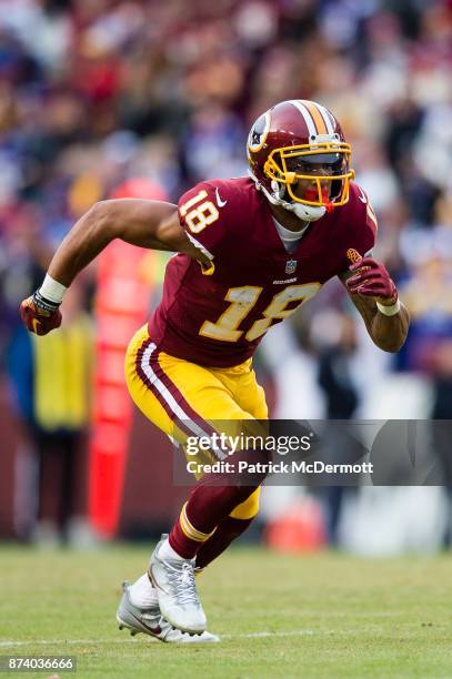 Wide receiver Josh Doctson of the Washington Redskins in action in the fourth quarter against the Minnesota Vikings at FedExField on November 12,...