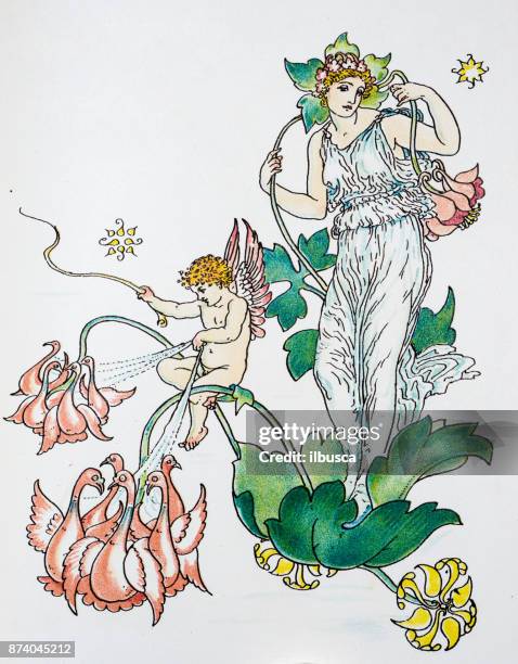 antique illustration of humanized flowers and plants: columbines - columbine flower stock illustrations