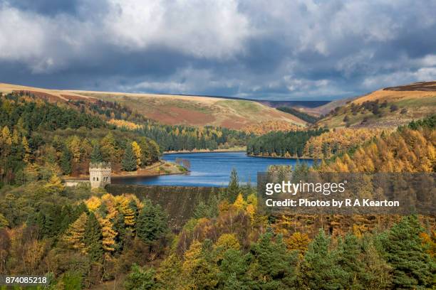 autumn scenery in the upper derwent valley, derbyshire - derwent stausee stock-fotos und bilder
