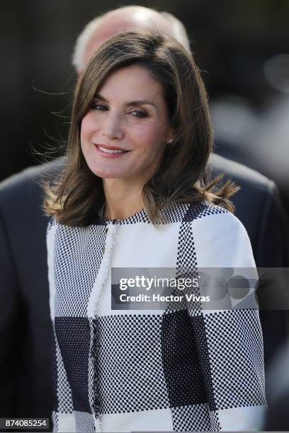 Queen Letizia of Spain looks on during a visit by Queen Letizia of Spain to the facilities of the Mexican Red Cross on November 13, 2017 in Mexico...