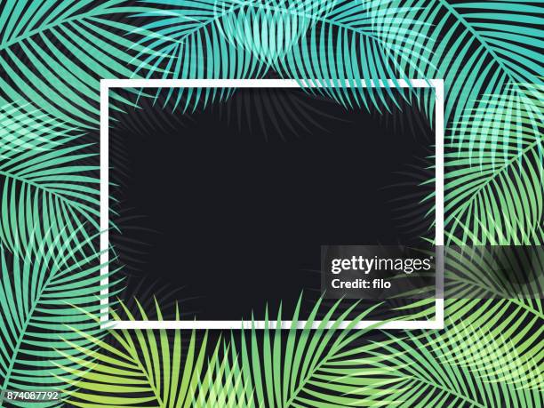 illustrations, cliparts, dessins animés et icônes de fond de cadre de palm - jungle tropicale végétation