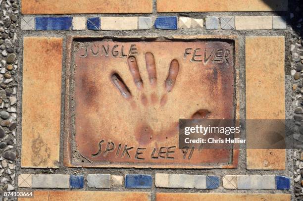 spike lee handprint cannes - chris lee cannes stock pictures, royalty-free photos & images