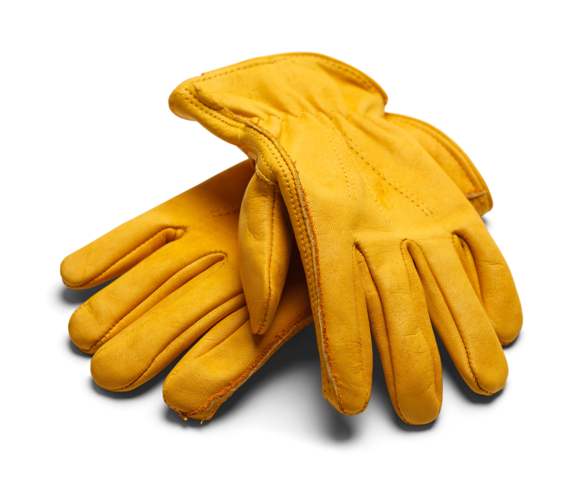 leather protection