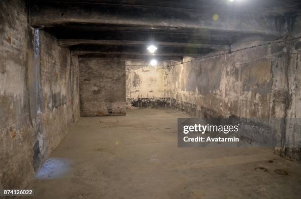 auschwitz - birkenau concentration camp - ガス室 ストックフォトと画像