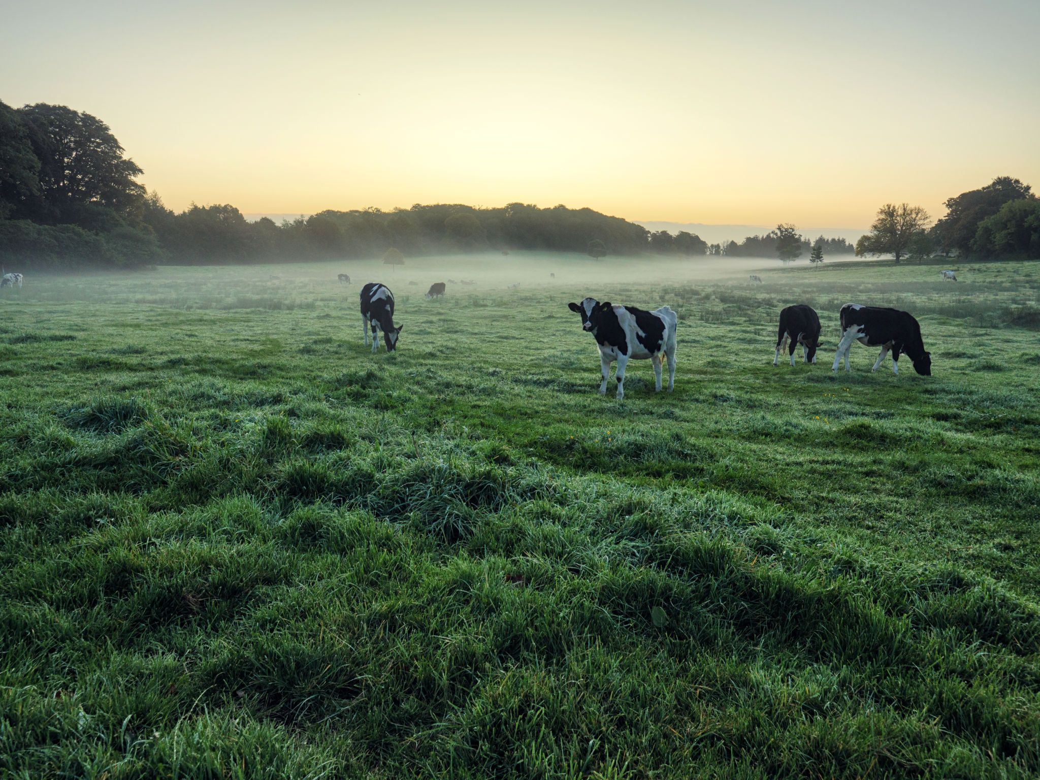 Early Autumn countryside morning,Northern Ireland Early Autumn countryside morning,Northern Ireland