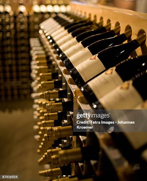 racks of wine bottles - seminterrato foto e immagini stock