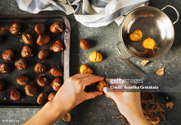 roasted chestnuts. woman's hands peeling a chestnuts - marrone foto e immagini stock