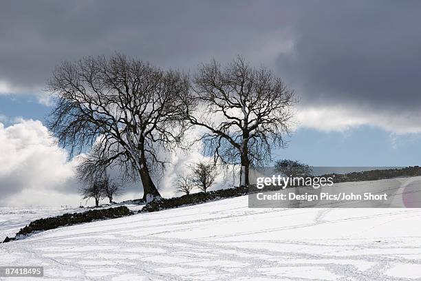 snowy field with stone fence, weardale, england - weardale stock pictures, royalty-free photos & images