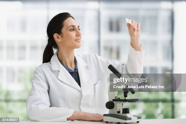 middle eastern scientist looking at microscope slide - lâmina de microscópio - fotografias e filmes do acervo