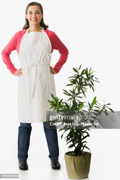 hispanic woman in apron with house plant - apron stockfoto's en -beelden