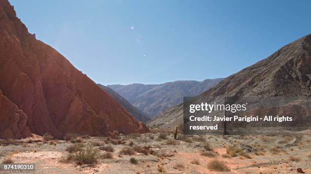 camino los colorados - cerro de los siete colores stock-fotos und bilder