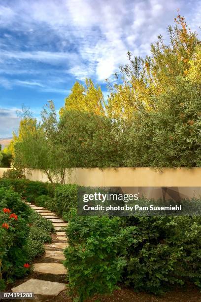 garden path - la quinta fotografías e imágenes de stock