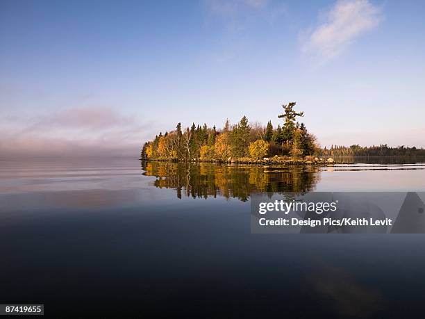 calm lake water - lake of the woods stock pictures, royalty-free photos & images