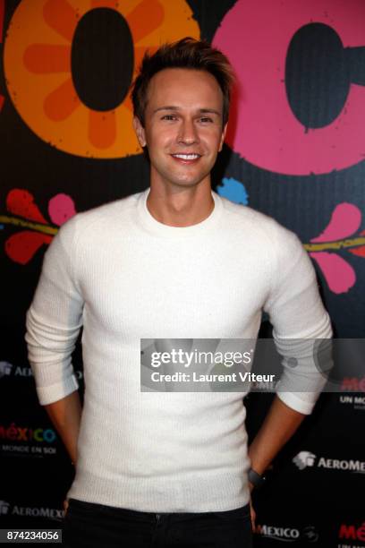 Cyril Feraud attends "Coco" Special Screening at Le Grand Rex on November 14, 2017 in Paris, France.