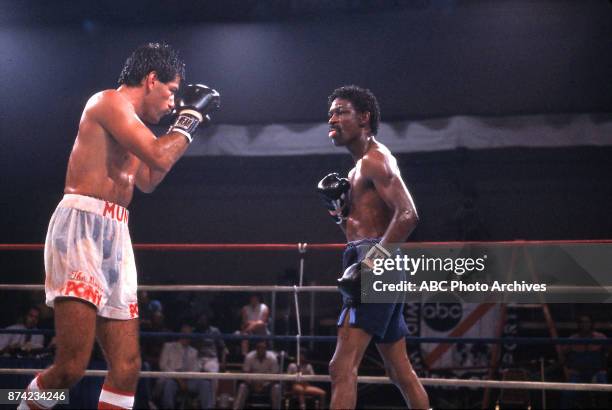 Atlantic City, NJ Oscar Muniz, Jeff Chandler boxing at Sands Casino Hotel, July 23, 1983.