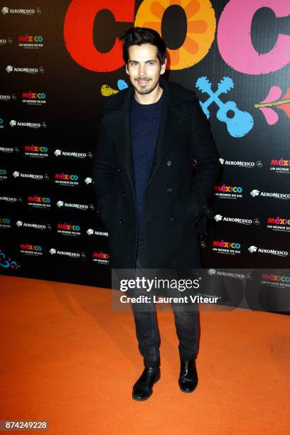 Michael Canitrot attends "Coco" Special Screening at Le Grand Rex on November 14, 2017 in Paris, France.