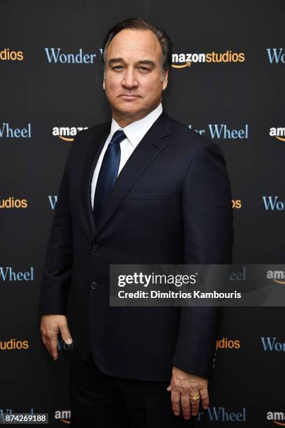 Jim Belushi attends the "Wonder Wheel" screening at Museum of Modern Art on November 14, 2017 in New York City.