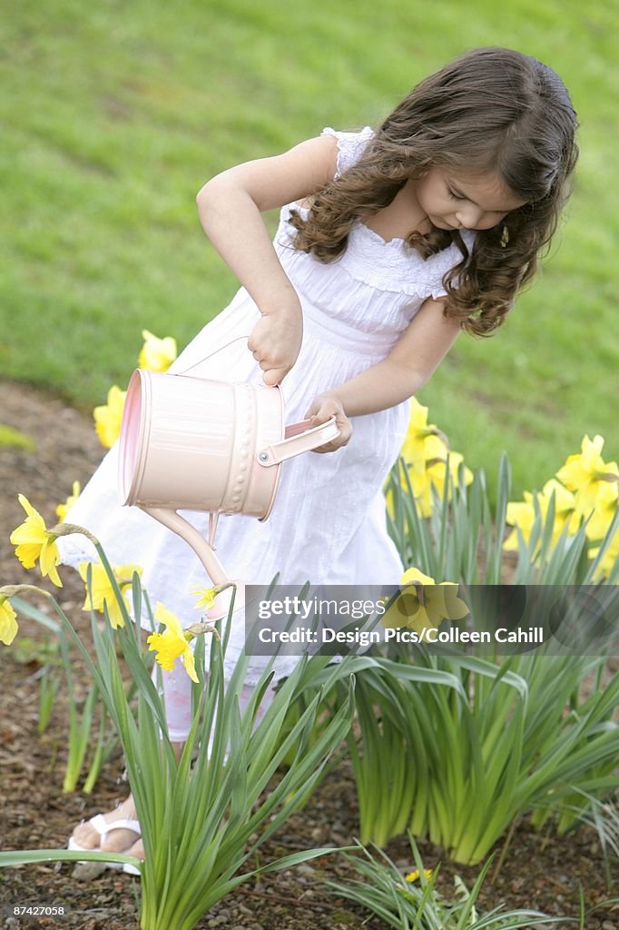 Girl watering daffodils