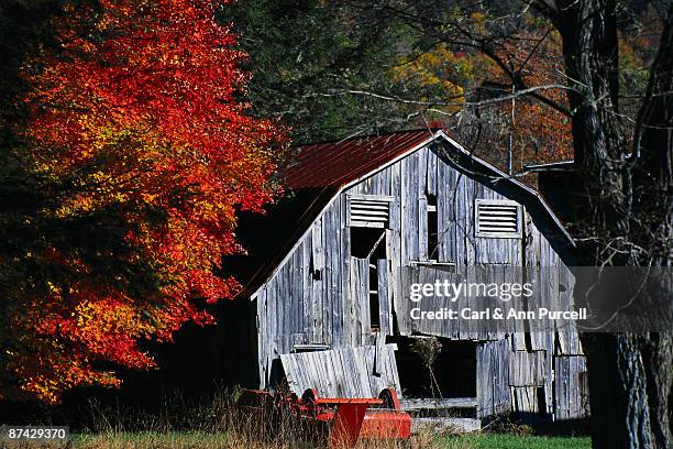 ramshackle barn. - ann purcell stockfoto's en -beelden