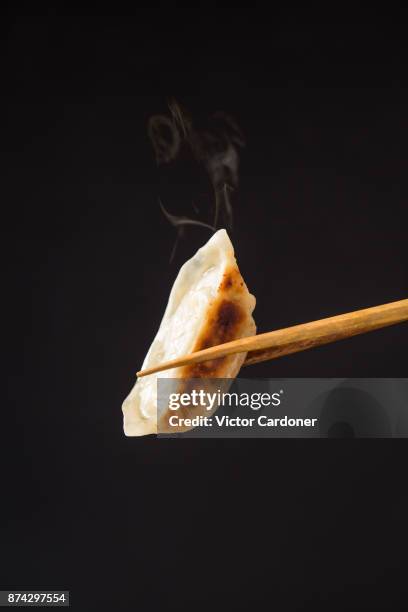 japanese gyoza - palillos chinos fotografías e imágenes de stock