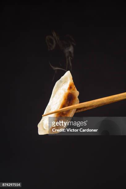 japanese gyoza - chopsticks stock pictures, royalty-free photos & images