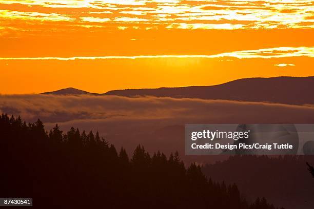 sunrise, willamette valley, oregon, usa - willamette tal stock-fotos und bilder