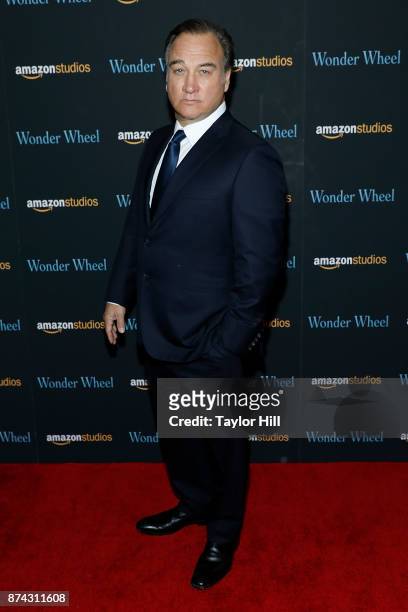 Jim Belushi attends the premiere of "Wonder Wheel" at Museum of Modern Art on November 14, 2017 in New York City.