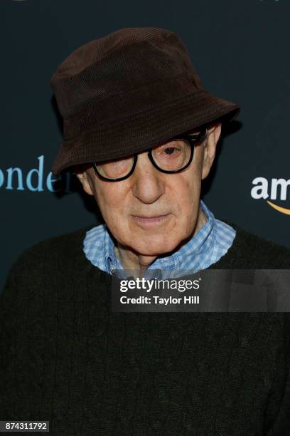 Woody Allen attends the premiere of "Wonder Wheel" at Museum of Modern Art on November 14, 2017 in New York City.