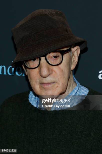 Woody Allen attends the premiere of "Wonder Wheel" at Museum of Modern Art on November 14, 2017 in New York City.