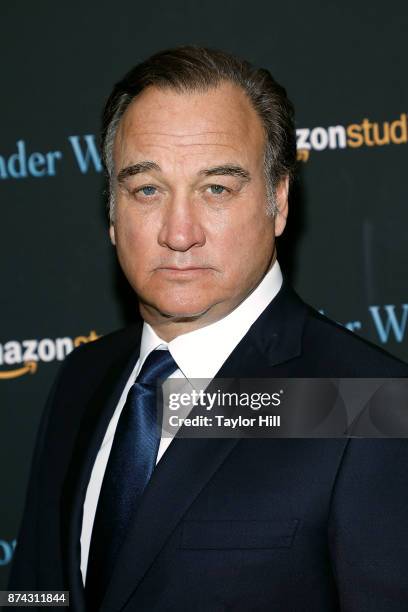 Jim Belushi attends the premiere of "Wonder Wheel" at Museum of Modern Art on November 14, 2017 in New York City.