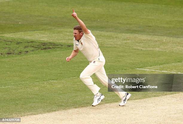 James Faulkner of Tasmania celebrates taking the wicket of Marcus Harris of Victoria during day three of the Sheffield Shield match between Victoria...