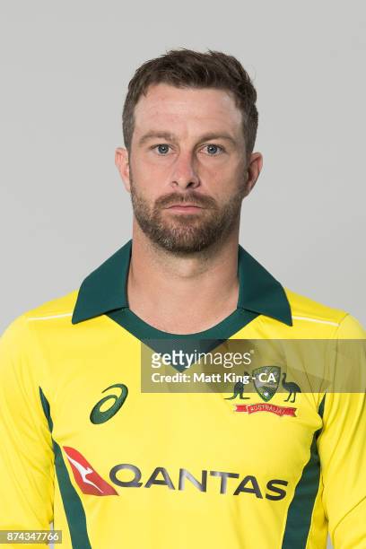 Matthew Wade poses during the Australia One Day International Team Headshots Session at Intercontinental Double Bay on October 15, 2017 in Sydney,...