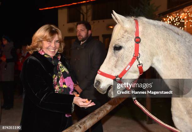 Christa Clarin during the Gut Aiderbichl Christmas Market opening on November 14, 2017 in Henndorf am Wallersee, Austria.