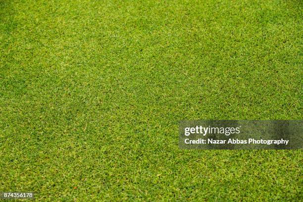 green grass background. - garden from above stockfoto's en -beelden