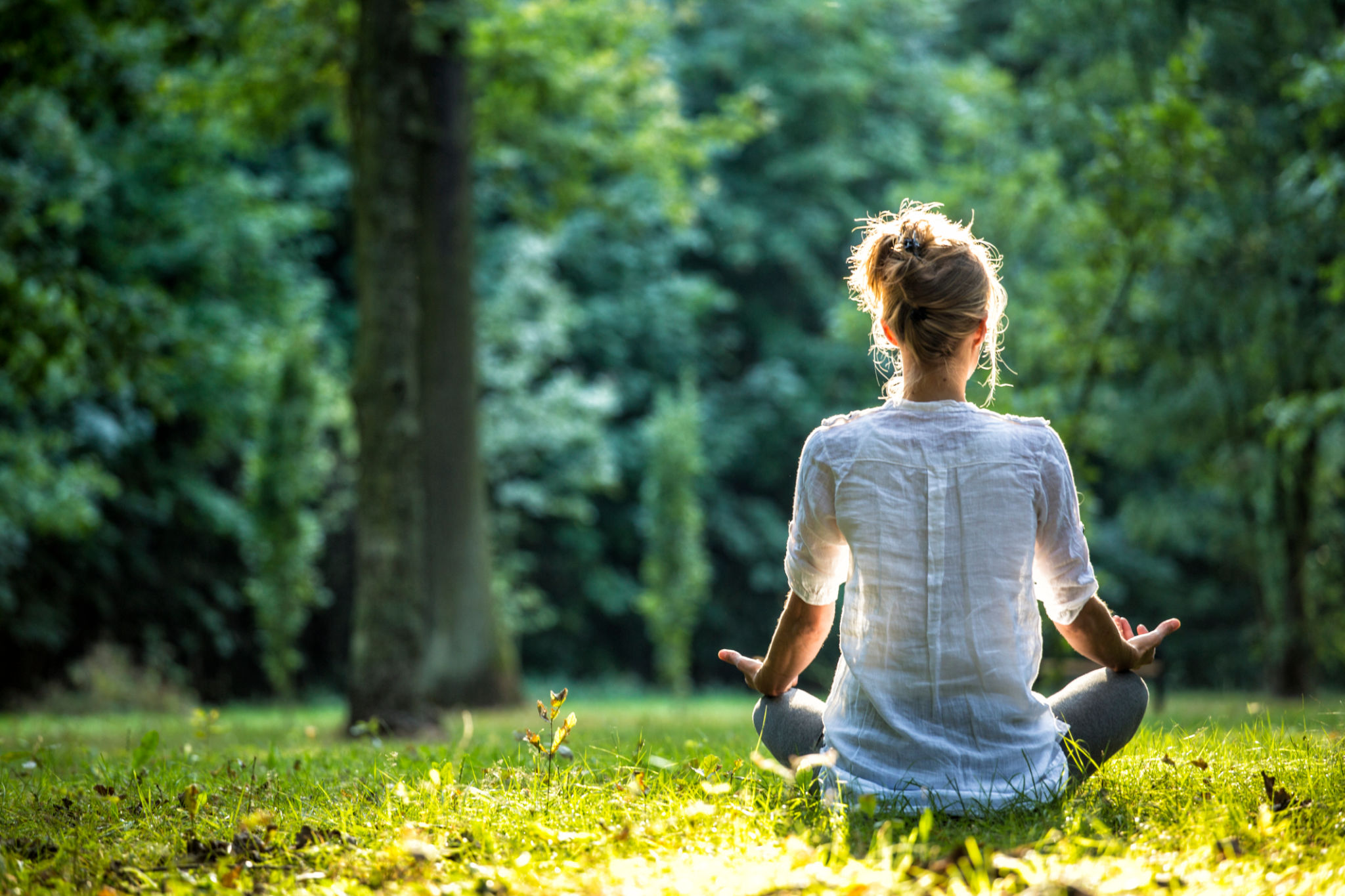 meditation reflection