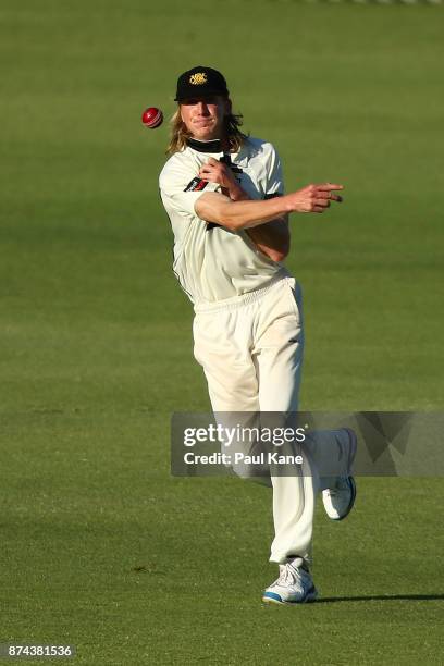 David Moody of Western Australia fields the ball during day three of the Sheffield Shield match between Western Australia and South Australia at WACA...