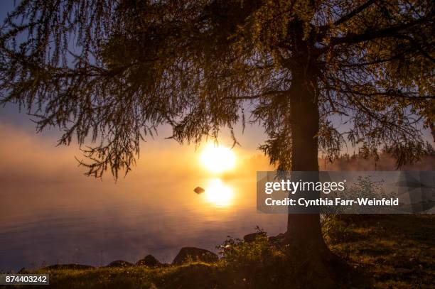 the view from the cabin, moosehead lake, maine - moosehead lake stock-fotos und bilder