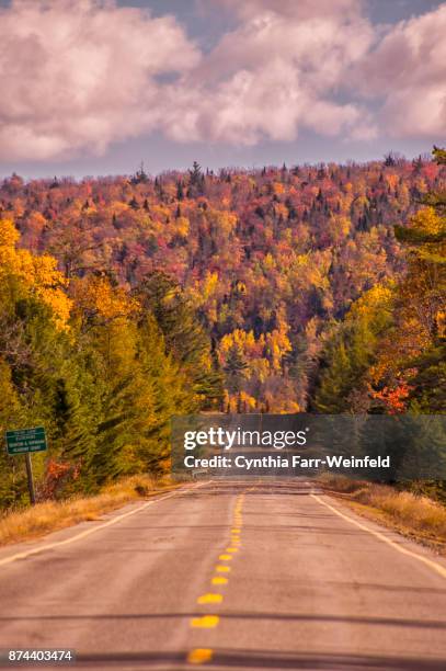 moosehead area foliage - moosehead lake stock-fotos und bilder