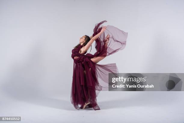 female ballet dancer dancing in studio - chiffon ストックフォトと画像