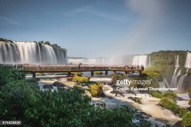 majestic iguazu falls, brazil - iguacu falls stockfoto's en -beelden