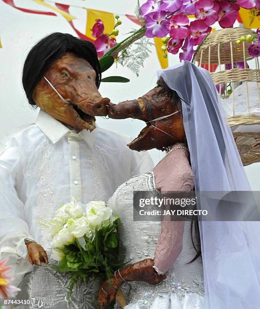 Two roasted pigs wear the costumes of bride and groom to be paraded through the La Loma district of the Manila on May 17 as part of an annual...
