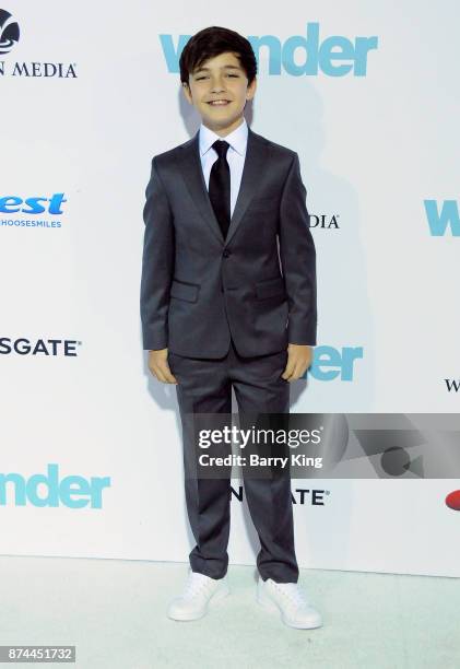 Actor Bryce Gheisar attends the premiere of Lionsgates's' 'Wonder' at Regency Village Theatre on November 14, 2017 in Westwood, California.