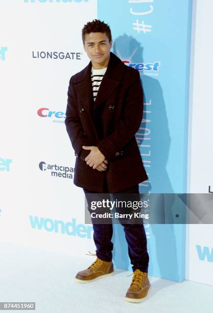 Actor Nathanial Potvin attends the premiere of Lionsgates's' 'Wonder' at Regency Village Theatre on November 14, 2017 in Westwood, California.