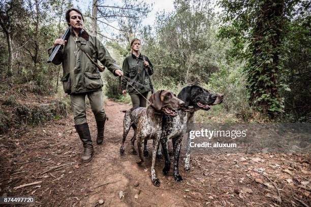 jagers met duitse kortharige pointers in catalonië spanje - hunting dog stockfoto's en -beelden