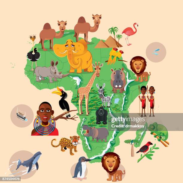 stockillustraties, clipart, cartoons en iconen met kaart van afrika-dieren - evenaar