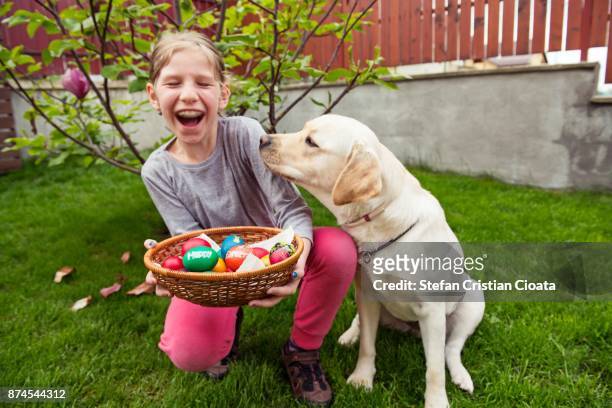happy easter - dog easter stock pictures, royalty-free photos & images