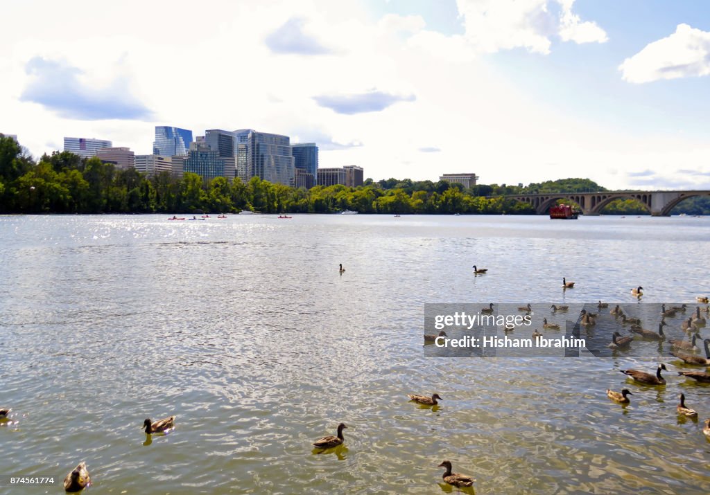 The Skyline of Rosslyn in Arlington County and the Potomac River, Virginia, USA.